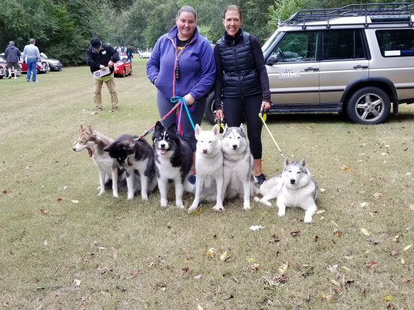 Huskies at the car show Oct.  2018
